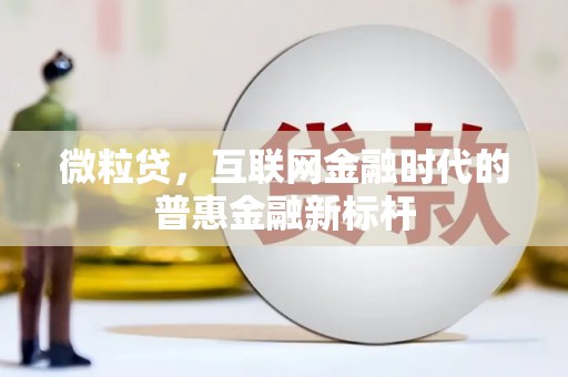 湖口微粒贷，互联网金融时代的普惠金融新标杆