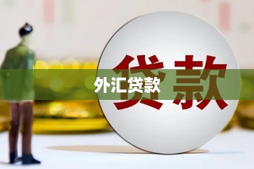 湖口外汇贷款