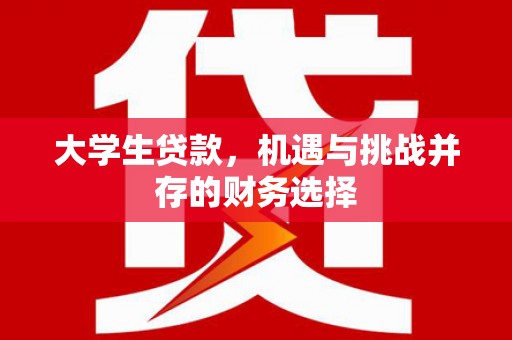 湖口大学生贷款，机遇与挑战并存的财务选择