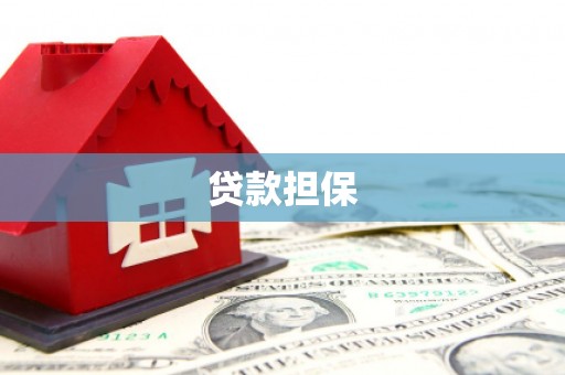 湖口贷款担保