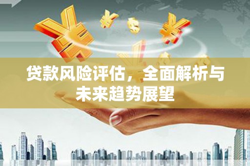 湖口贷款风险评估，全面解析与未来趋势展望