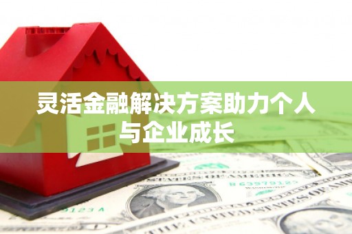 湖口灵活金融解决方案助力个人与企业成长