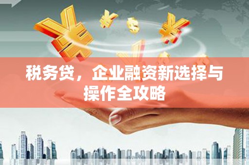 湖口税务贷，企业融资新选择与操作全攻略