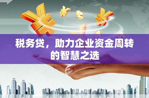 湖口税务贷，助力企业资金周转的智慧之选