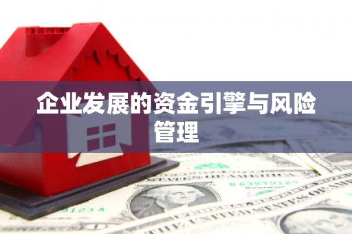 湖口企业发展的资金引擎与风险管理