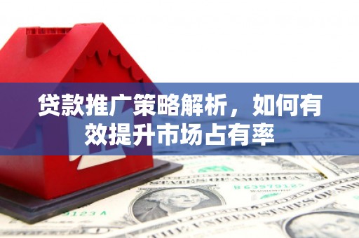 湖口贷款推广策略解析，如何有效提升市场占有率