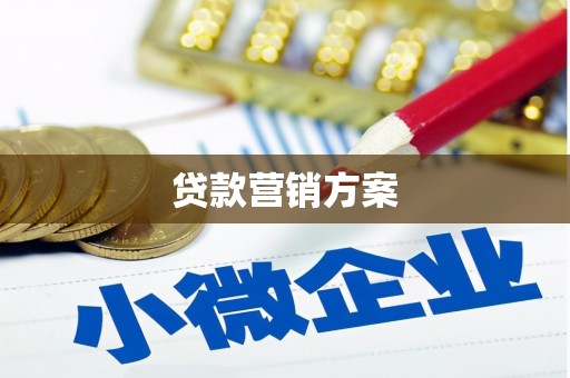 湖口贷款营销方案