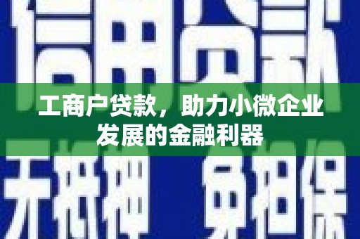 湖口工商户贷款，助力小微企业发展的金融利器