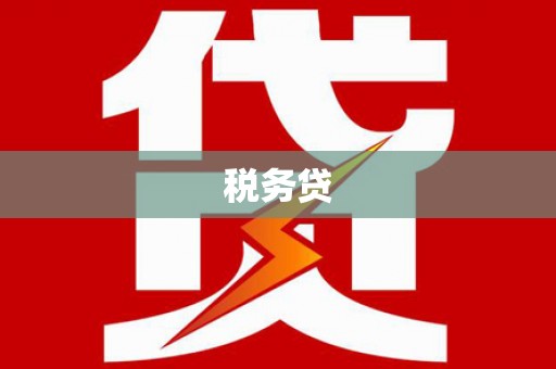 湖口税务贷