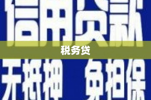 湖口税务贷