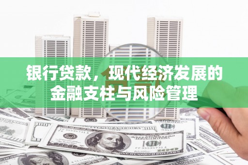 湖口银行贷款，现代经济发展的金融支柱与风险管理