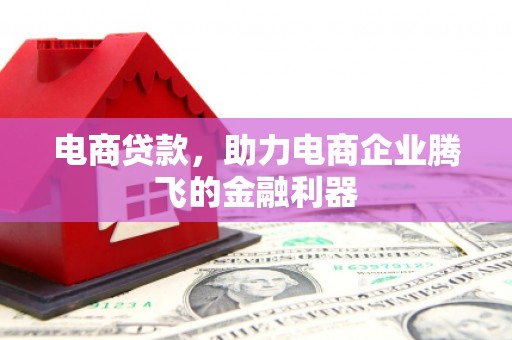 湖口电商贷款，助力电商企业腾飞的金融利器
