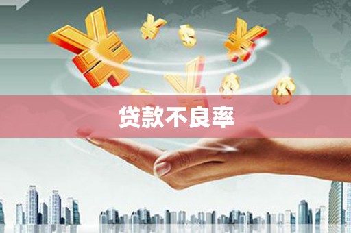 湖口贷款不良率