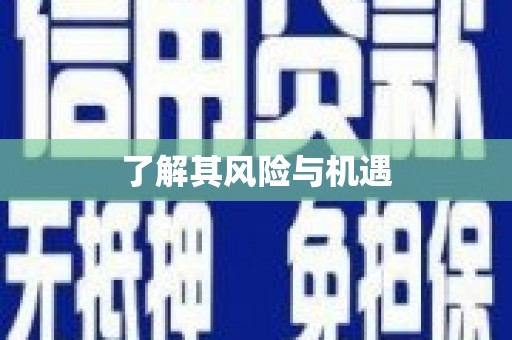 湖口了解其风险与机遇