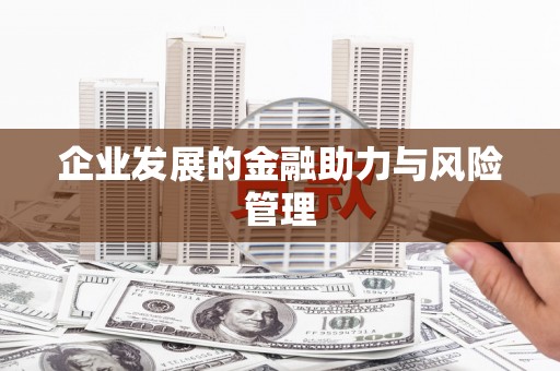 湖口企业发展的金融助力与风险管理