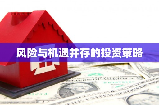湖口风险与机遇并存的投资策略
