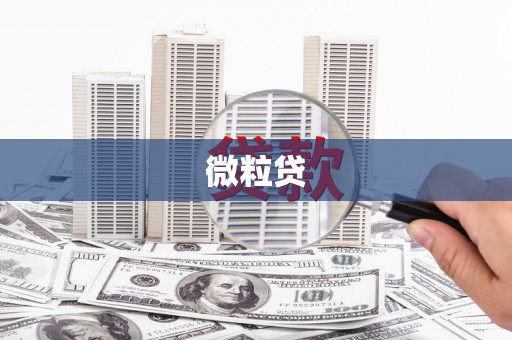 湖口微粒贷