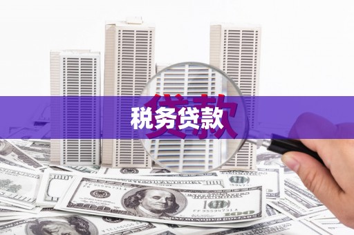 湖口税务贷款