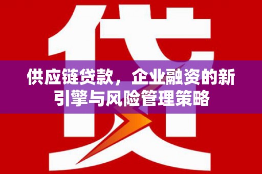 湖口供应链贷款，企业融资的新引擎与风险管理策略