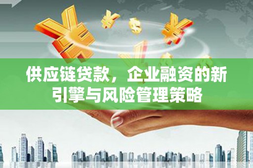 湖口供应链贷款，企业融资的新引擎与风险管理策略