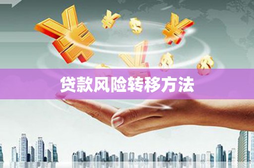 湖口贷款风险转移方法
