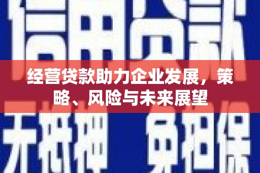 湖口经营贷款助力企业发展，策略、风险与未来展望