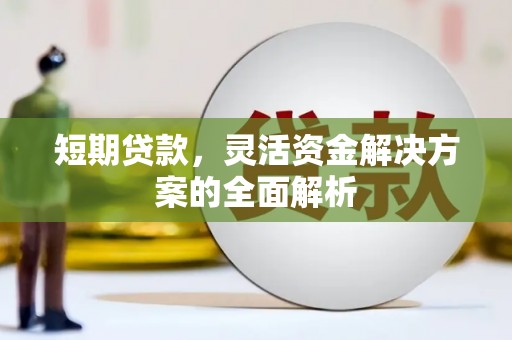 湖口短期贷款，灵活资金解决方案的全面解析