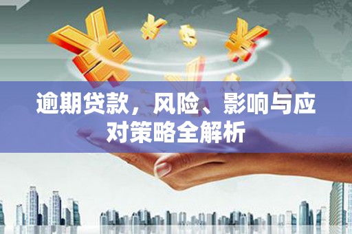 湖口逾期贷款，风险、影响与应对策略全解析