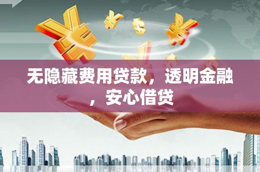 湖口无隐藏费用贷款，透明金融，安心借贷