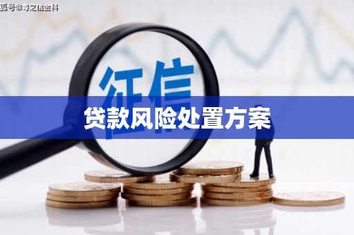 湖口贷款风险处置方案