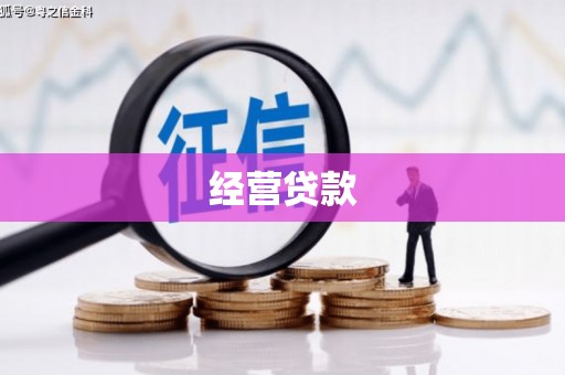 湖口经营贷款