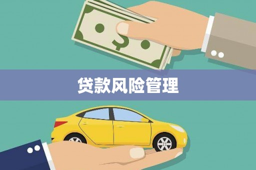湖口贷款风险管理
