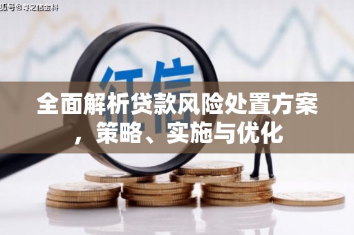 湖口全面解析贷款风险处置方案，策略、实施与优化
