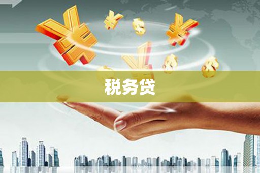 湖口税务贷