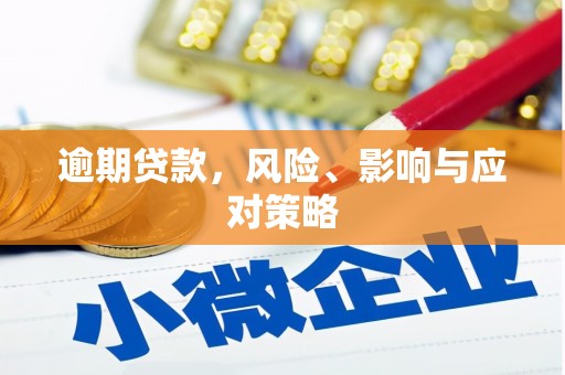 湖口逾期贷款，风险、影响与应对策略