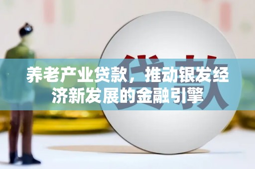 湖口养老产业贷款，推动银发经济新发展的金融引擎