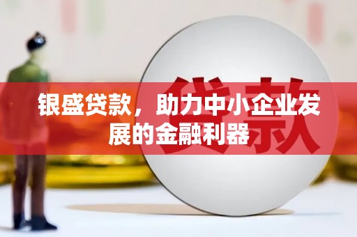 湖口银盛贷款，助力中小企业发展的金融利器