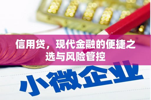 湖口信用贷，现代金融的便捷之选与风险管控