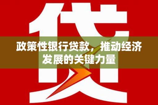 湖口政策性银行贷款，推动经济发展的关键力量