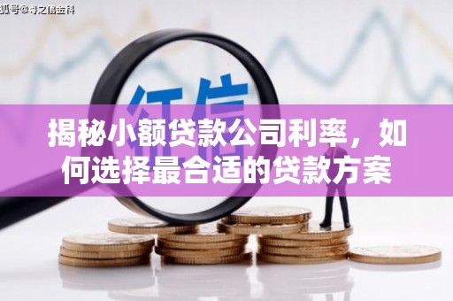 湖口揭秘小额贷款公司利率，如何选择最合适的贷款方案