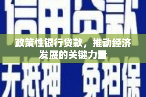 湖口政策性银行贷款，推动经济发展的关键力量