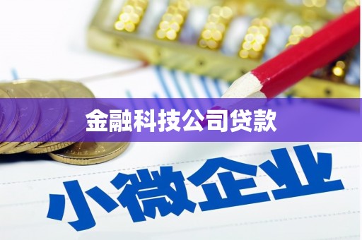 湖口金融科技公司贷款