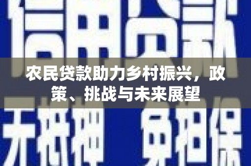 湖口农民贷款助力乡村振兴，政策、挑战与未来展望