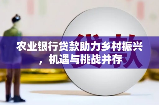 湖口农业银行贷款助力乡村振兴，机遇与挑战并存