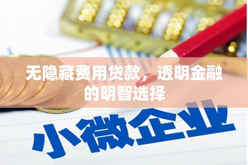 湖口无隐藏费用贷款，透明金融的明智选择