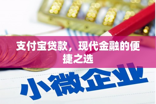 湖口支付宝贷款，现代金融的便捷之选