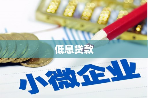 湖口低息贷款