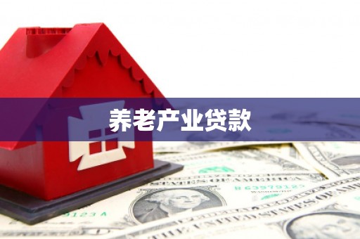 湖口养老产业贷款