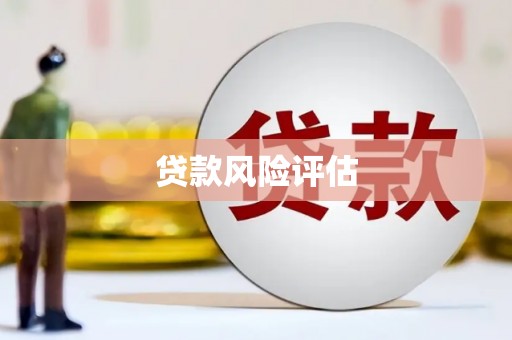 湖口贷款风险评估