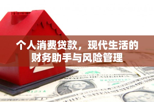 湖口个人消费贷款，现代生活的财务助手与风险管理